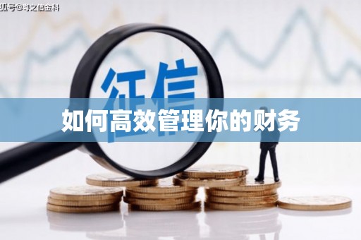 兰西如何高效管理你的财务