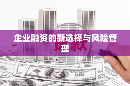 兰西企业融资的新选择与风险管理