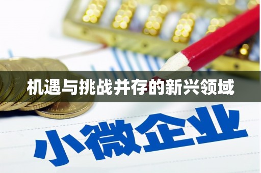 兰西机遇与挑战并存的新兴领域