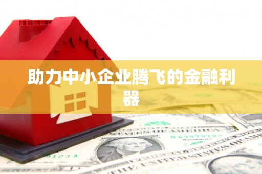 兰西助力中小企业腾飞的金融利器