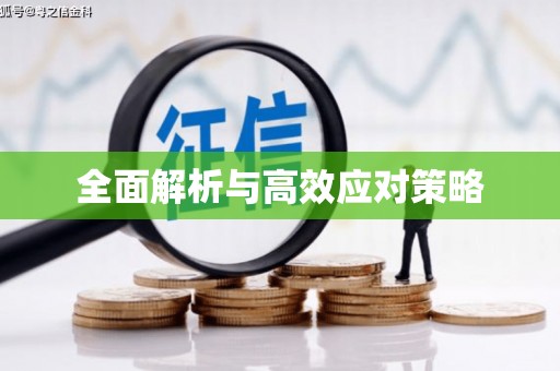 兰西全面解析与高效应对策略