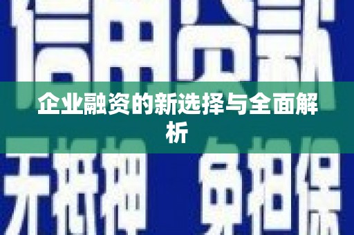 兰西企业融资的新选择与全面解析