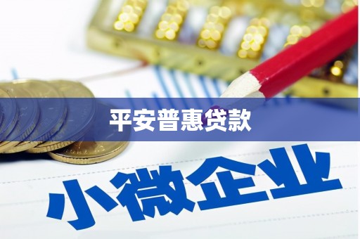 兰西平安普惠贷款