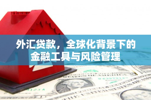 兰西外汇贷款，全球化背景下的金融工具与风险管理