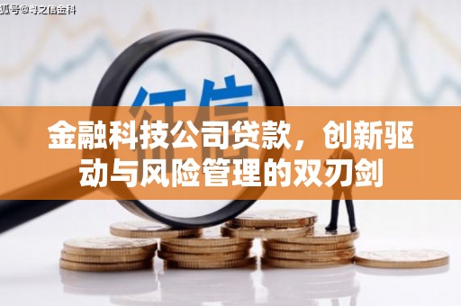 兰西金融科技公司贷款，创新驱动与风险管理的双刃剑