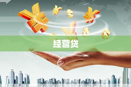 兰西经营贷