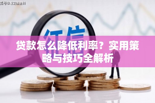兰西贷款怎么降低利率？实用策略与技巧全解析